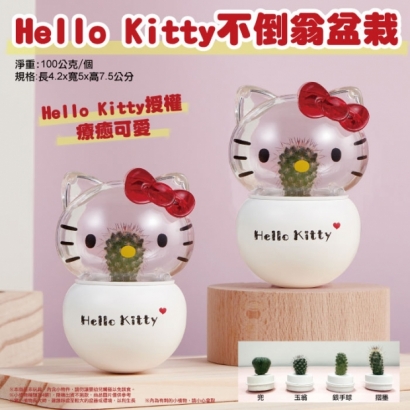 _W_Hello-Kitty-不倒翁盆栽.jpg